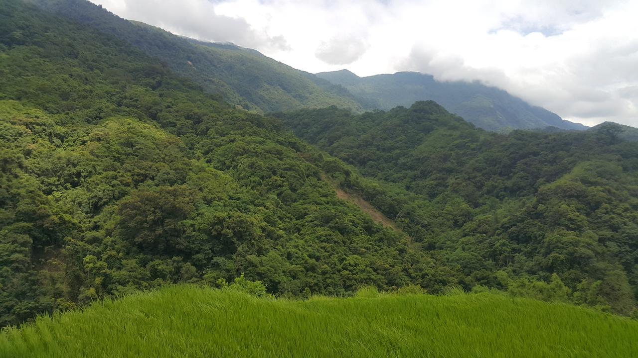 五葉松民宿-電梯民宿 近慈濟中小學及慈科大及人社院 Hualien stad Exteriör bild